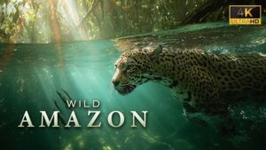 Wild Amazon in 4K: Amazing Animals & Landscapes | Nature Sounds | Relaxing Music